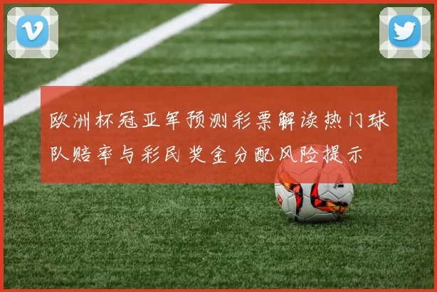 欧洲杯冠亚军预测彩票解读热门球队赔率与彩民奖金分配风险提示