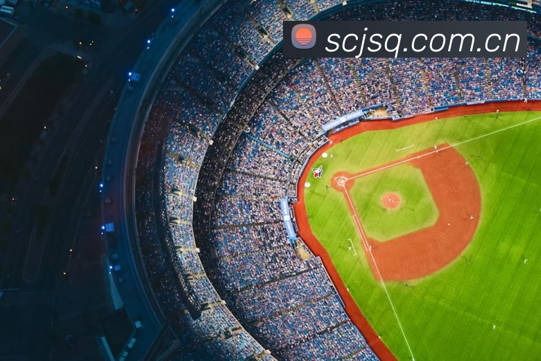 App Interface Preview